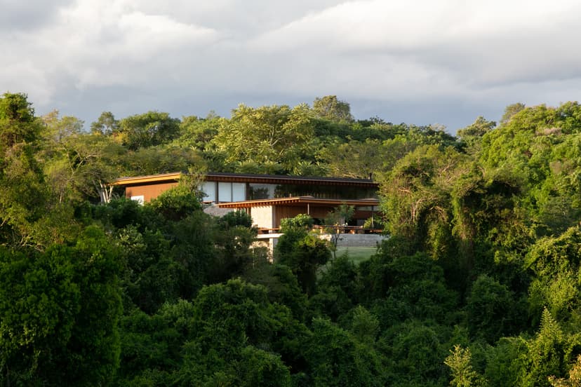 Image 12 for Phoenix