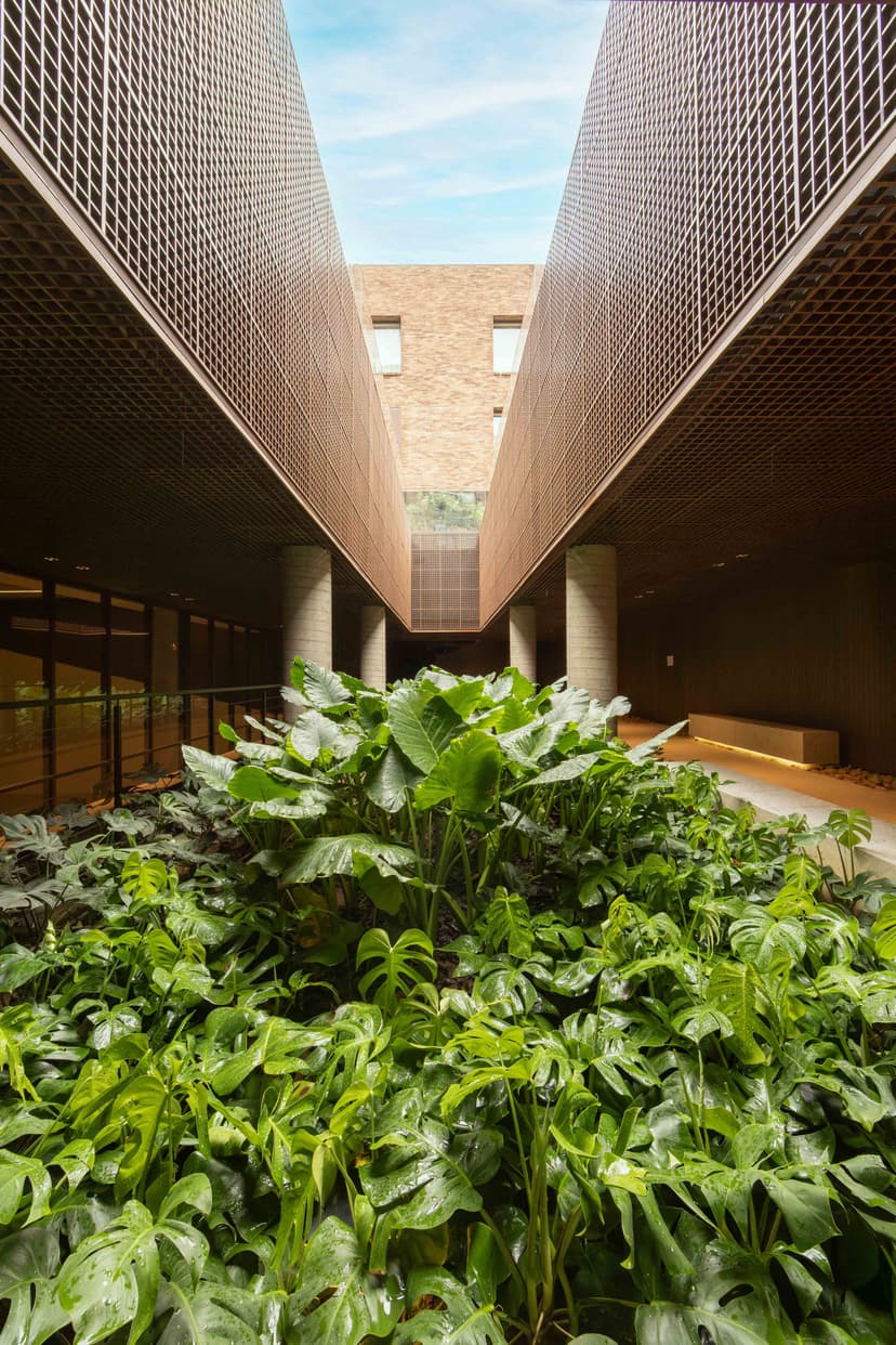 Image 14 for Fasano Tennis Club