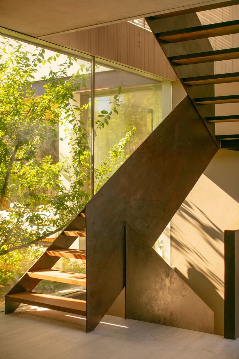 Image 3 for Cataleya