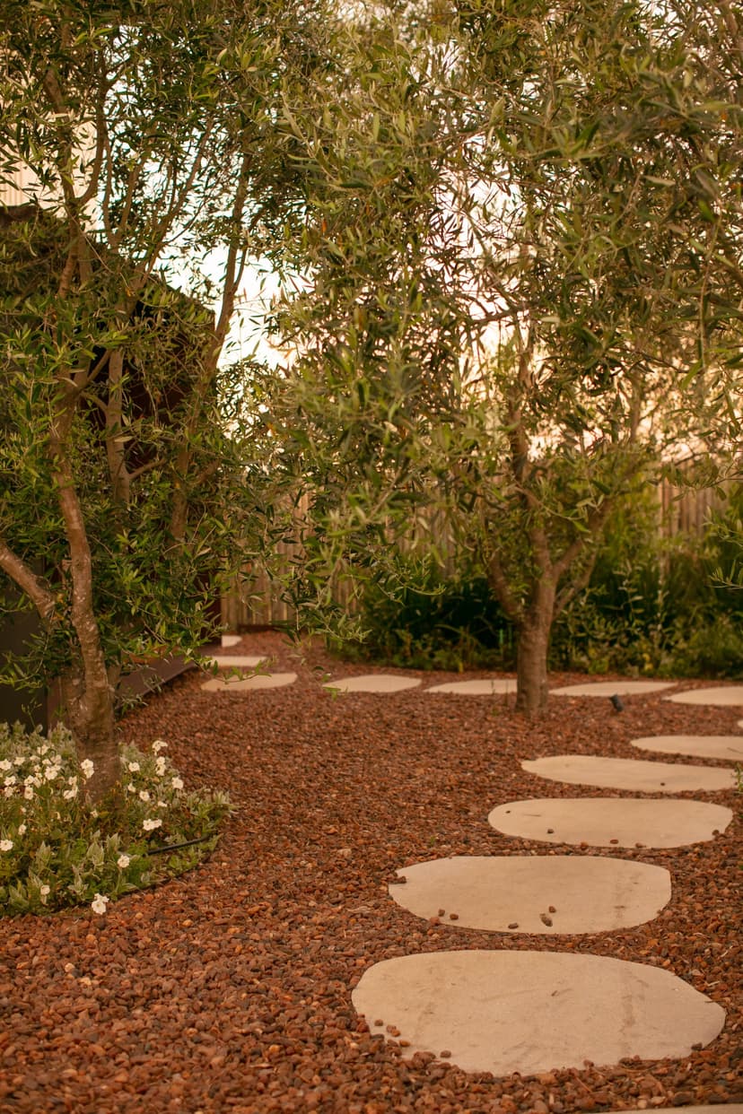 Image 24 for Cataleya