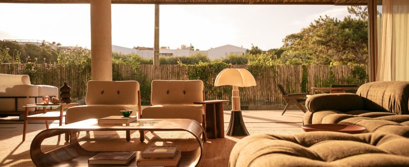 Image 2 for Cataleya