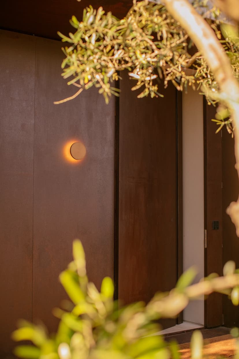 Image 5 for Cataleya